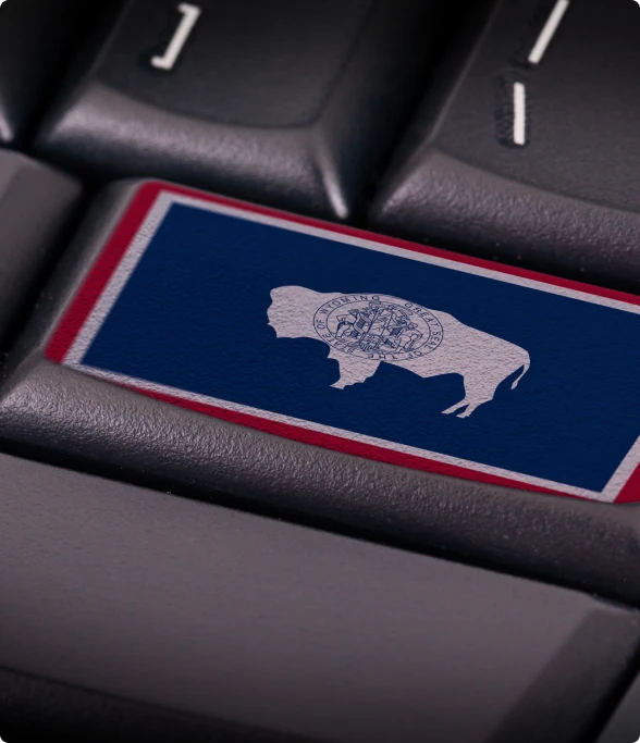 appellate_info_buffalo_keyflag